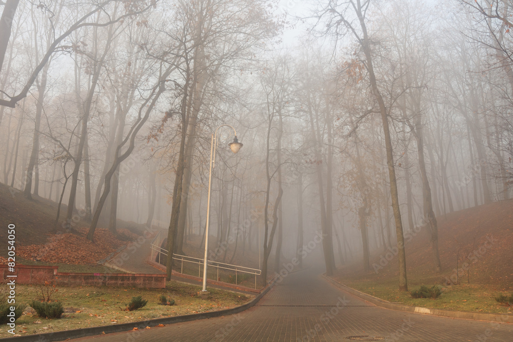 Fototapeta premium in fog