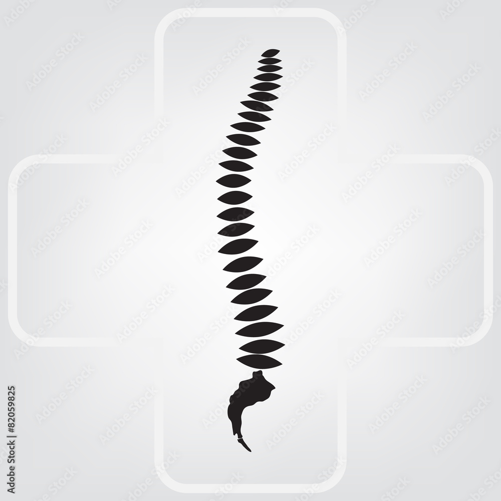 Spine vector Spine vector