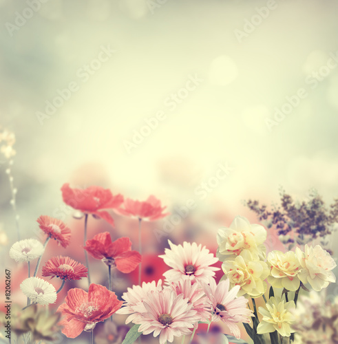 Fototapeta Naklejka Na Ścianę i Meble -  Colorful Flowers