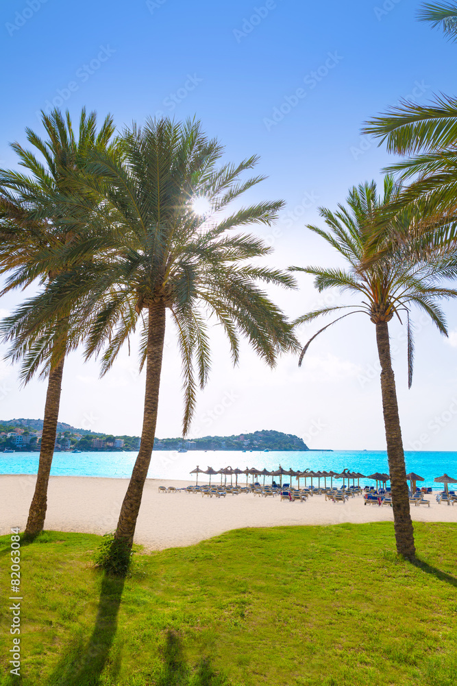 Mallorca Cala Santa Ponsa Ponca beach in Majorca Mallorca Cala Santa Ponsa Ponca beach in Majorca