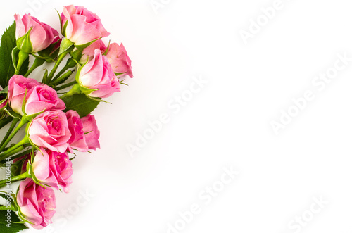 Empty white background with rose flowers