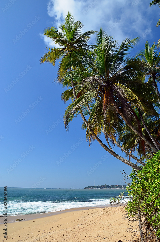 palms on sand beach and blue sky by the sea