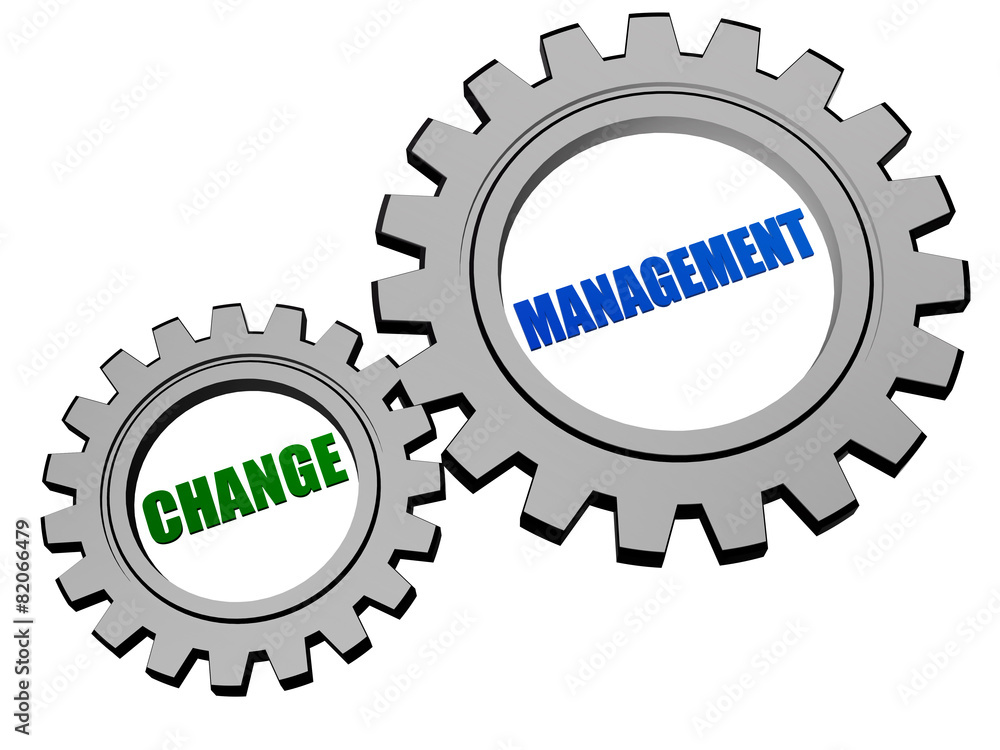 change management in silver grey gears