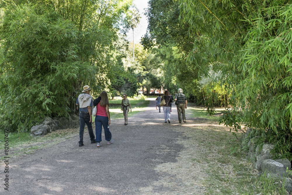 People at Botanical Garden People at Botanical Garden