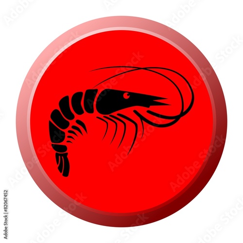 Shrimp button - Illustration