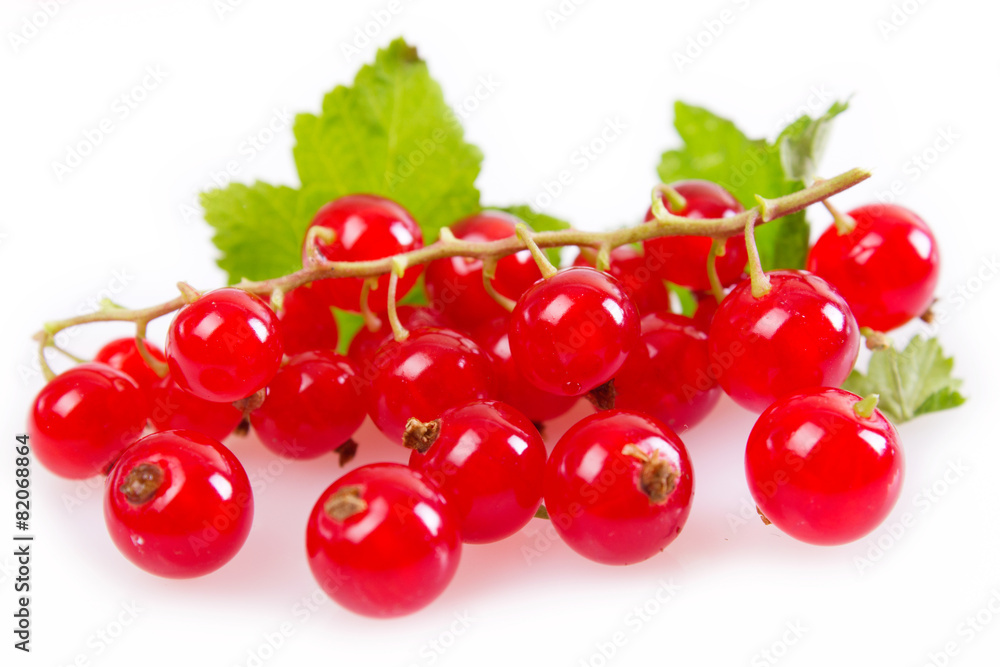 Red currant Red currant