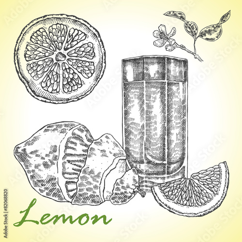 Collection of highly detailed hand drawn lemones. Lemon juice photo