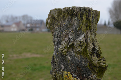 Old weathered wooden field pole