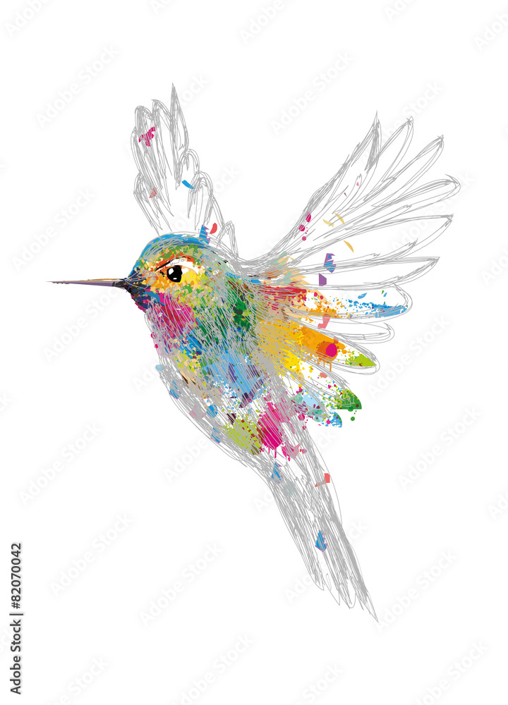 Kolibri Foto, Wandbilder EuroPosters Poster, bei