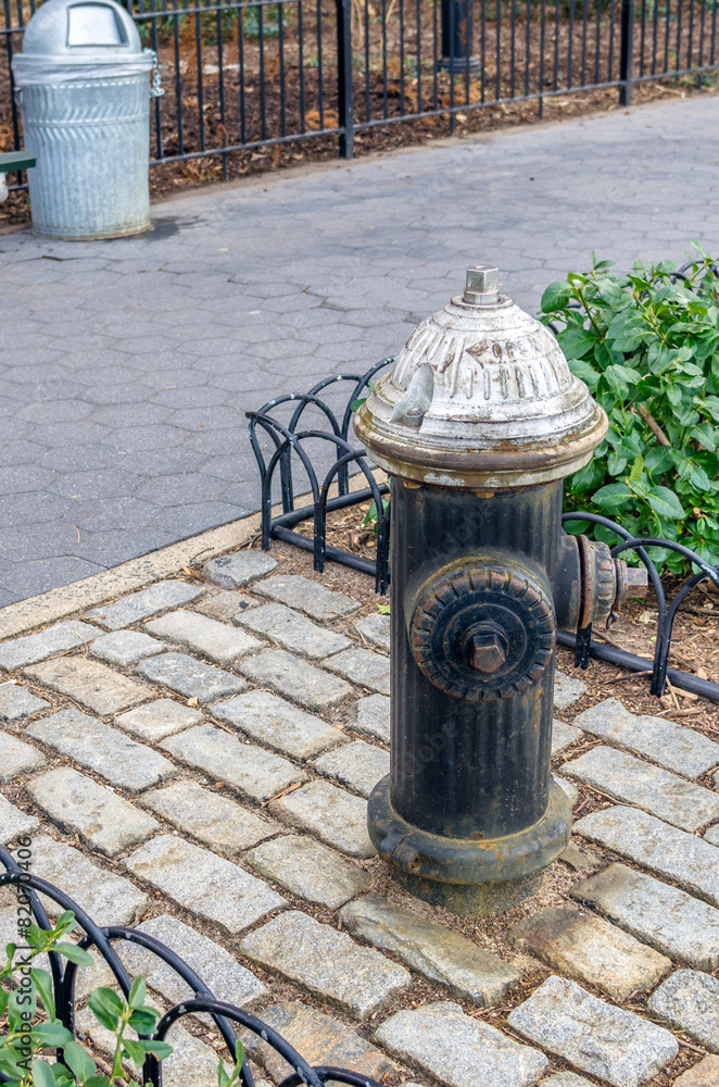 Fire Hydrant in New York City