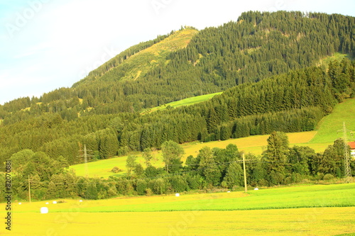 Naturlandschaft bei Oy Mittelberg