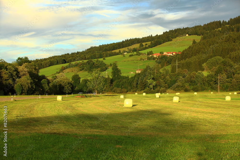 Obraz premium Naturlandschaft bei Oy Mittelberg