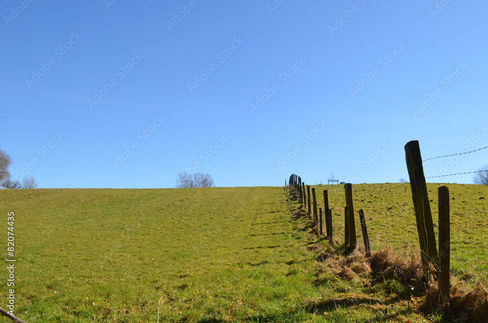 Fototapeta premium Agricultural fence and green field on a hill, Hallerbos