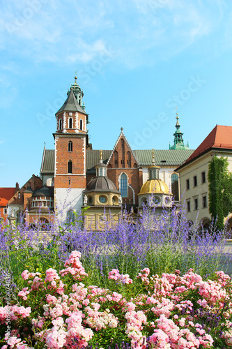 Wawel Castle complex in Krakow #82074836