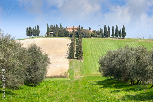 Tuscany Farm in Fields