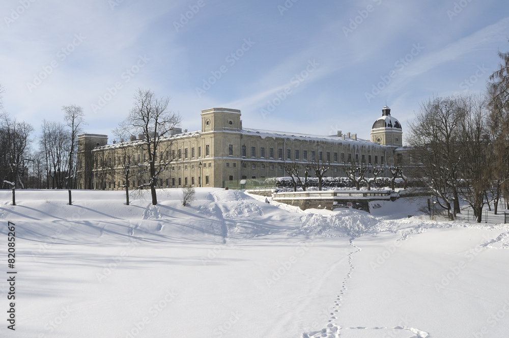 Вид на Большой гатчинский дворец зимним днем