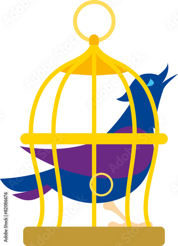 bird in cage
