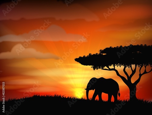African elephant against a perfect South African sunset sky