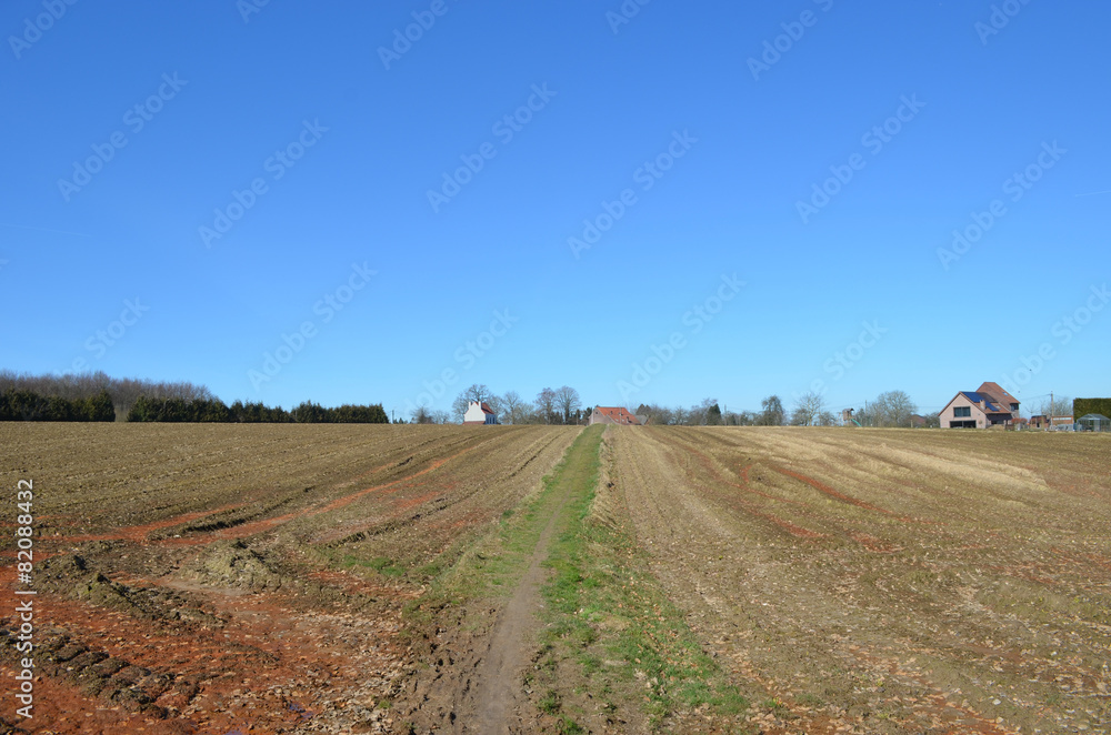 Path through agricultural field, Hallerbos