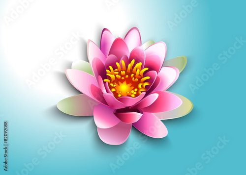 vector illustration water lily