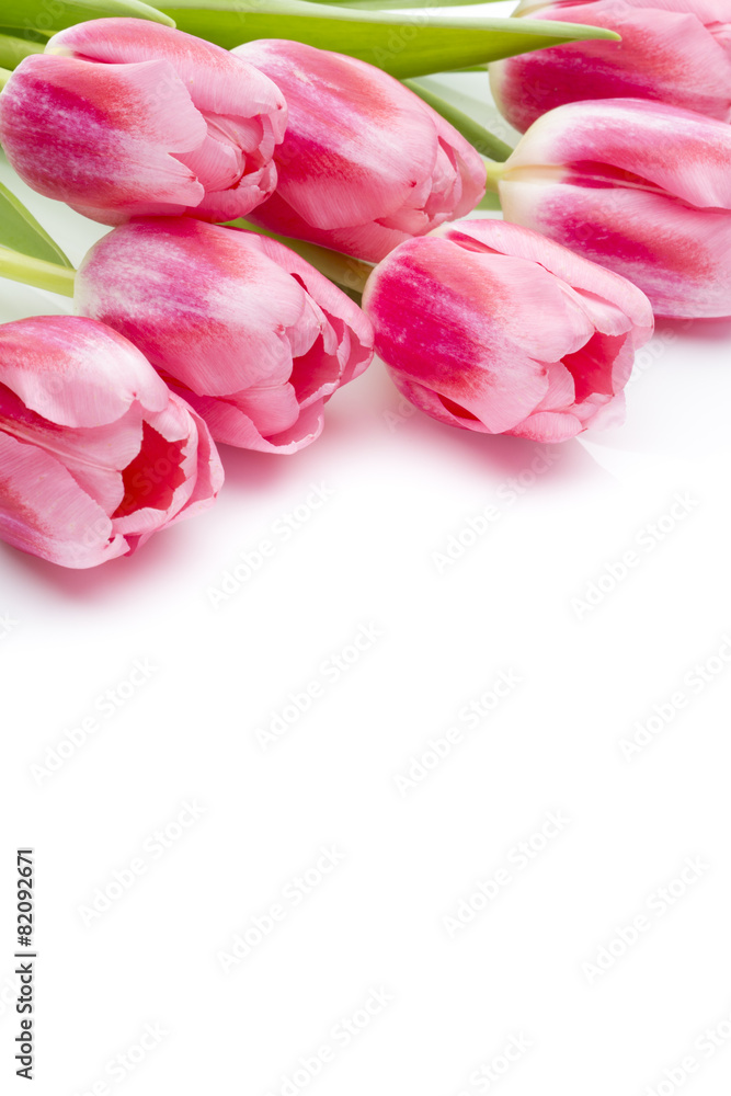 Tulips. Tulips.