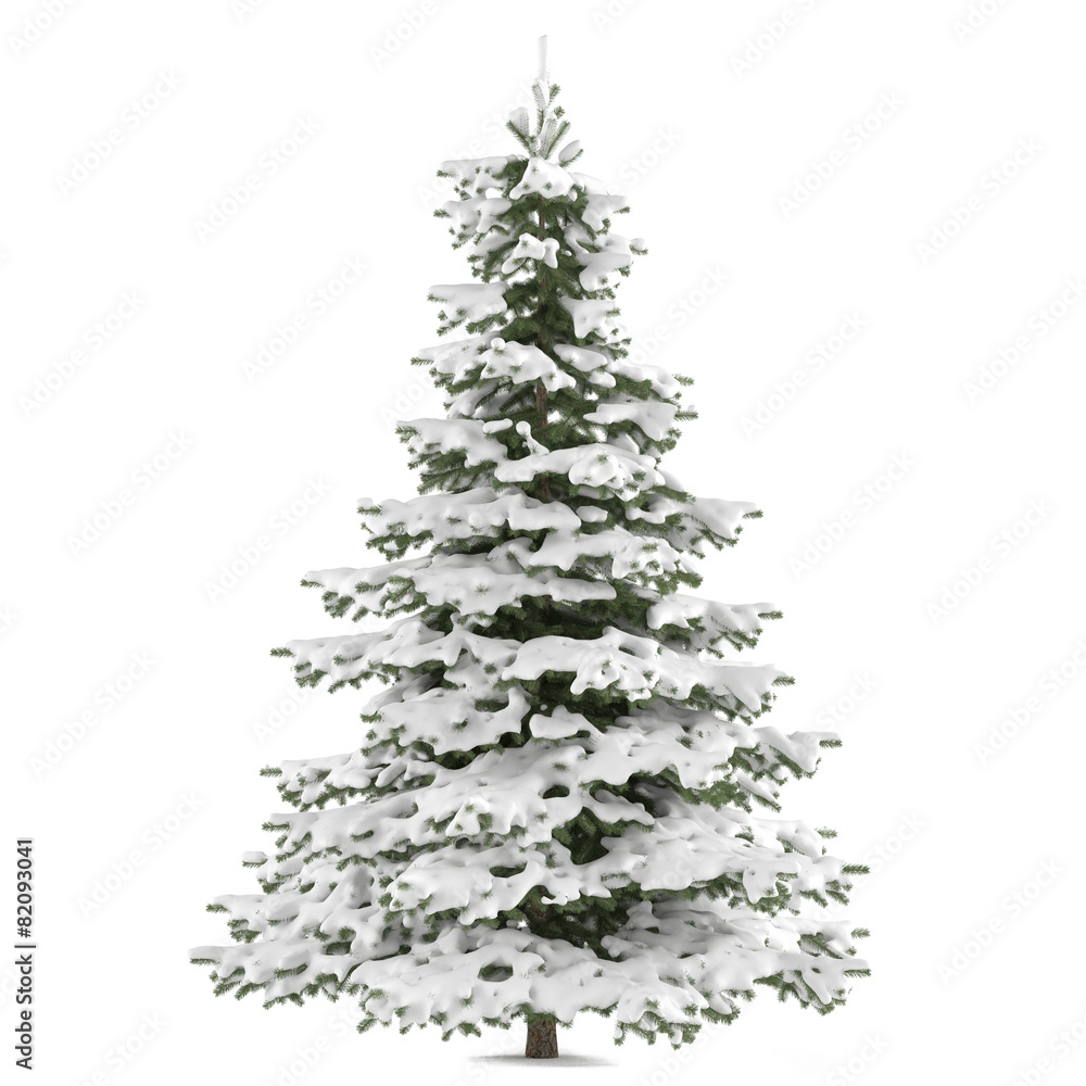Winter fir-tree on snow isolated Winter fir-tree on snow isolated