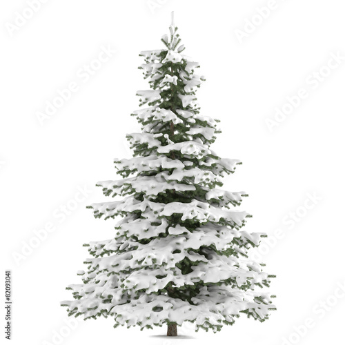 Winter fir-tree on snow isolated