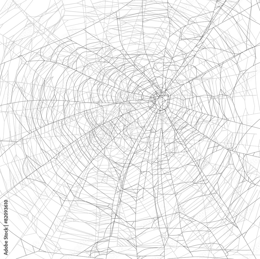 dense grey spider web