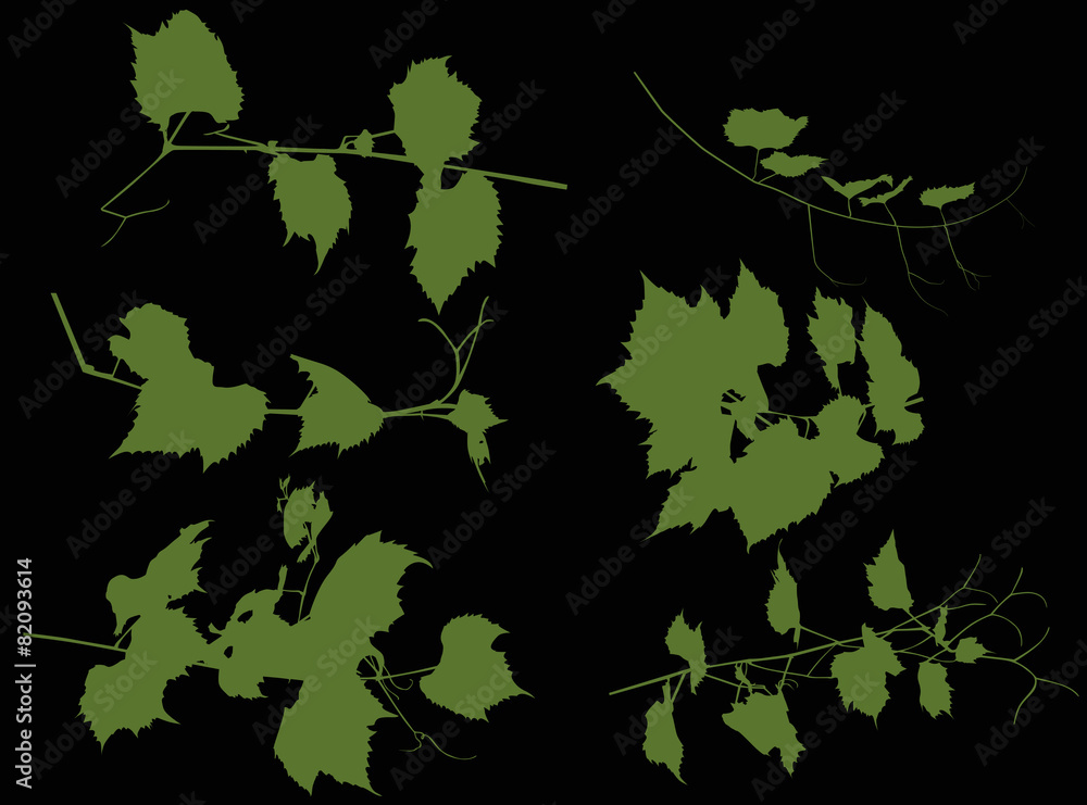 six green vine silhouettes on black six green vine silhouettes on black