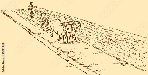 Vector drawing. Primitive agriculture. Peasants treated field