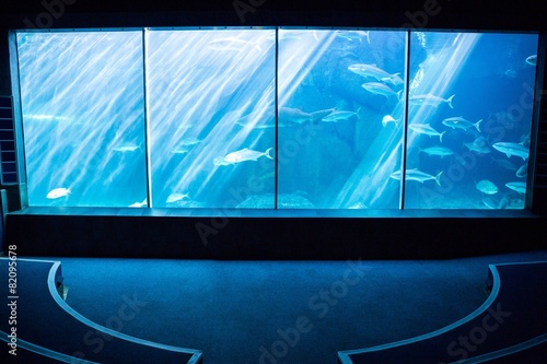Darkest room with a fish tank