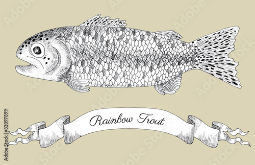 Drawing with rainbow trout and vignette banner