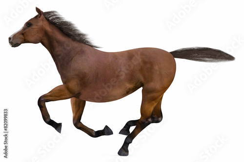 Running Horse isolated
