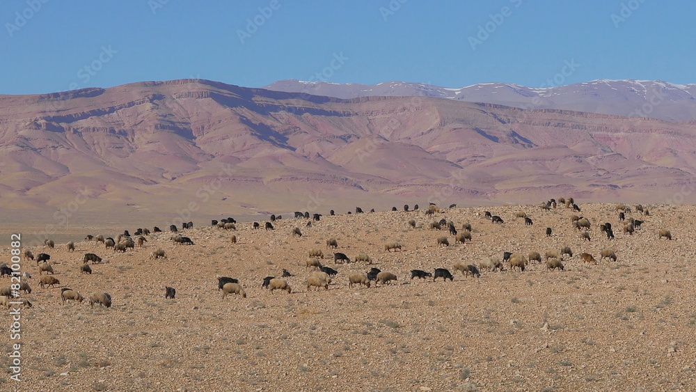 Morrocan Atlas Mountains