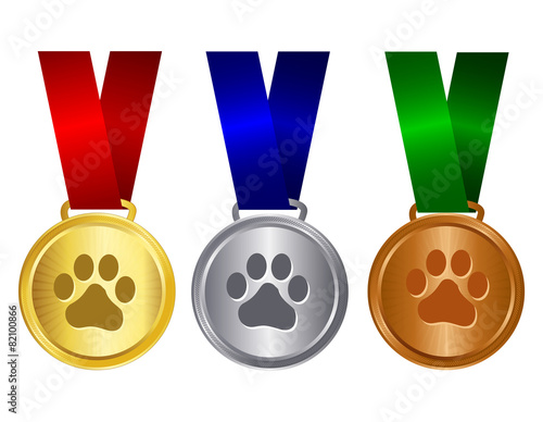 Dog show winner medal gold silver bronze