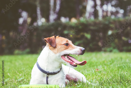 Sideview portrait with frisbee