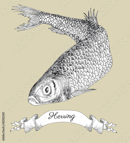 Drawing with herring fish and vingette banner
