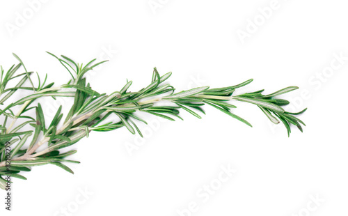 Rosemary herb © indigolotos