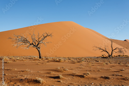 Sossusvlei dunes