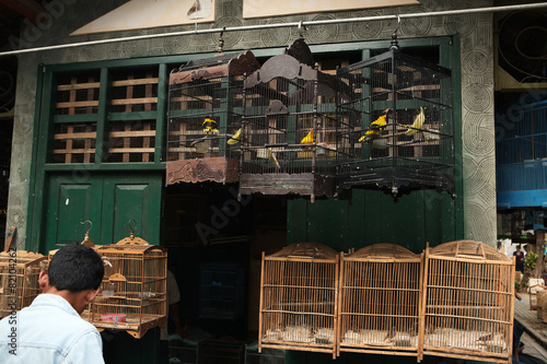 Bird Market in Yogyakarta, Central Java, Indonesia. photo