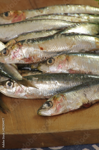 sardines 24042015