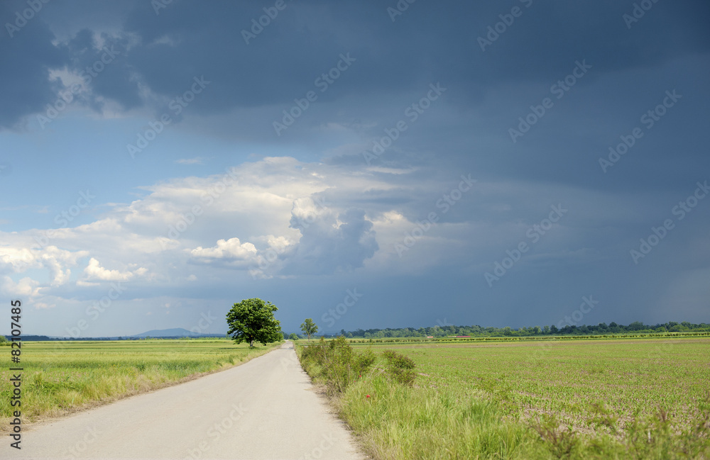 Fototapeta premium Country road with dark blue sky and tree