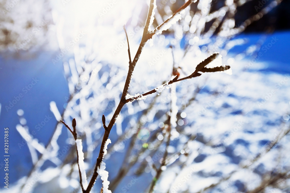beautiful winter background, sun and ice, back light