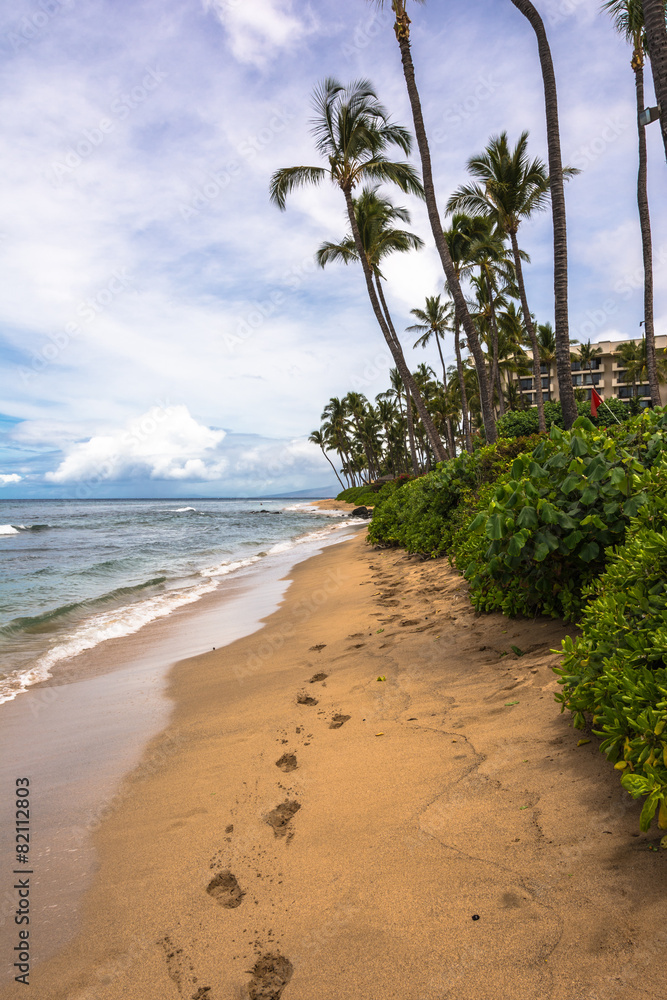 Footprints in the sand, Maui, Hawaii