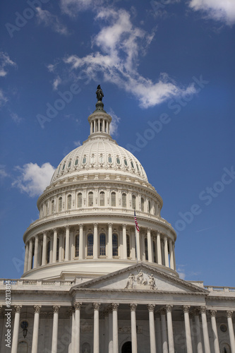 U.S. Capitol in Washington D.C.