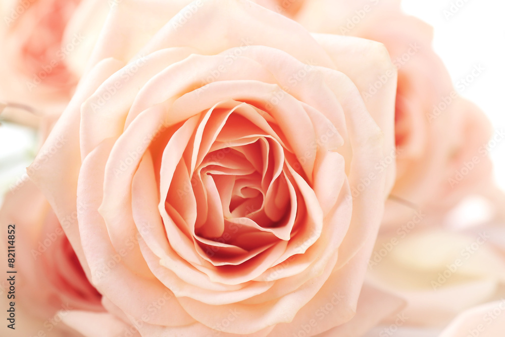 Bouquet of beautiful fresh roses, closeup Bouquet of beautiful fresh roses, closeup