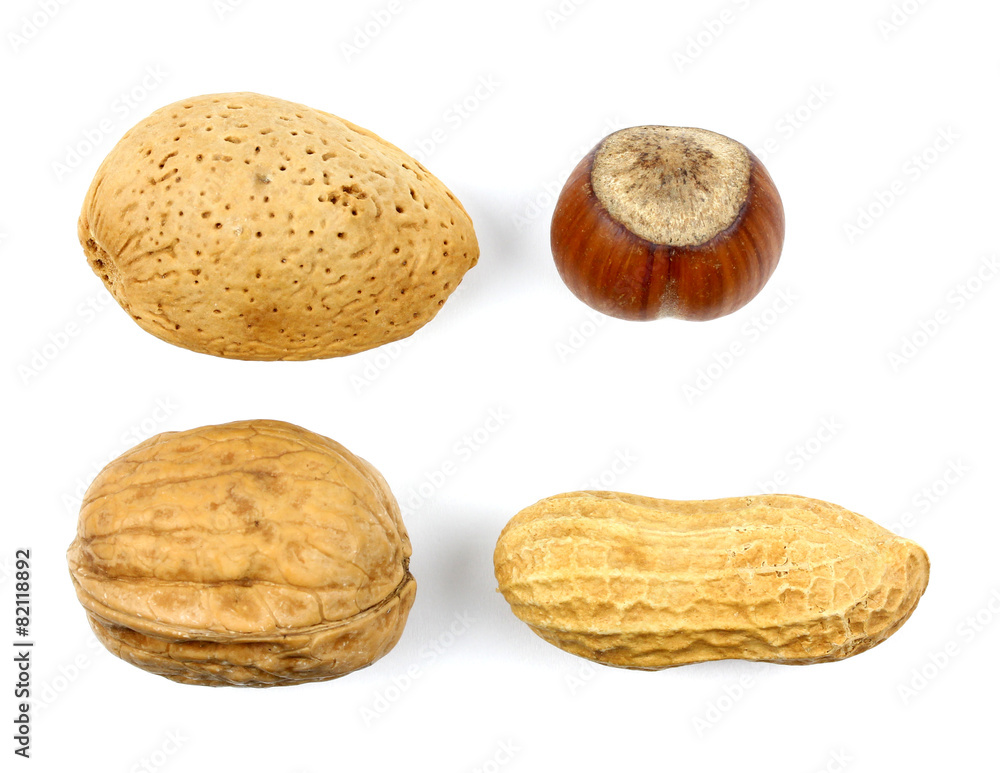 almonds hazelnuts walnuts green walnuts on a white background almonds hazelnuts walnuts green walnuts on a white background