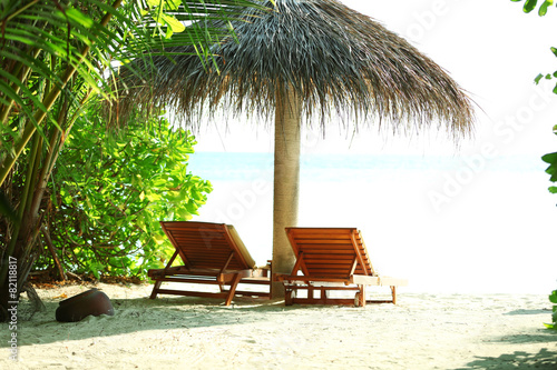 Sunbeds on beautiful beach in resort © Africa Studio