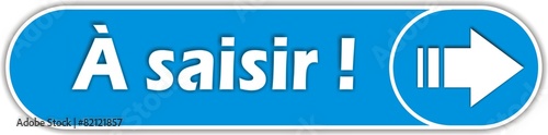 bouton à saisir