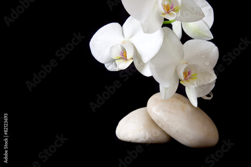 Cuadro en lienzo Massage Stones with Orchid.